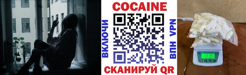 Cocaine FishScale  закладка  Новая Усмань 