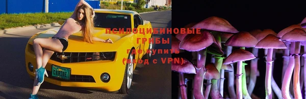 mdpv Сосновка